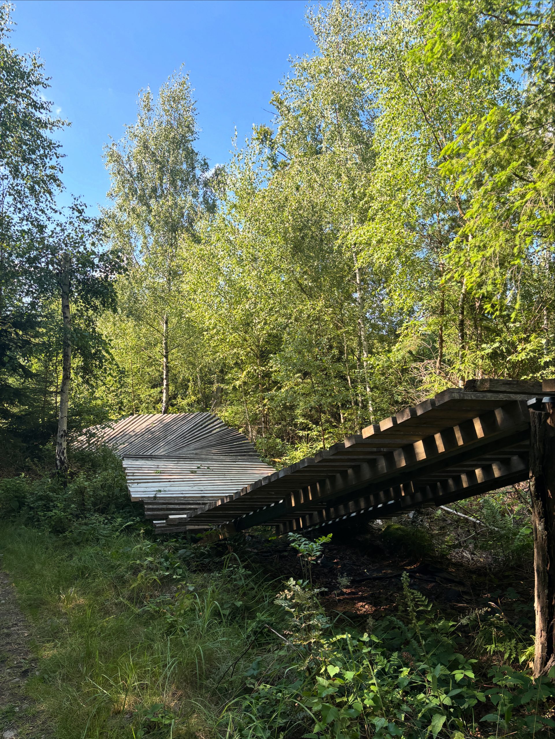 Emser Bikepark